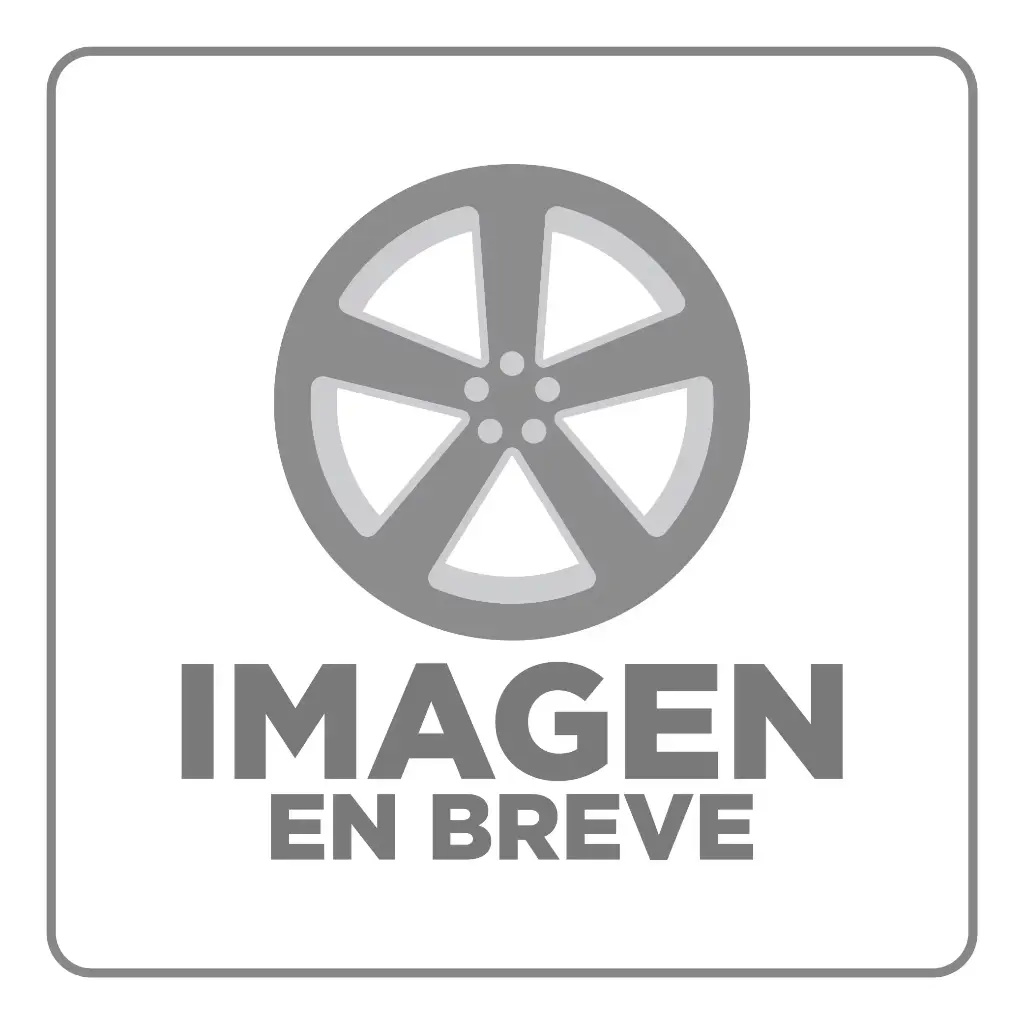 LLANTA TALON TR968 305/35R24 TRIANGLE 112V